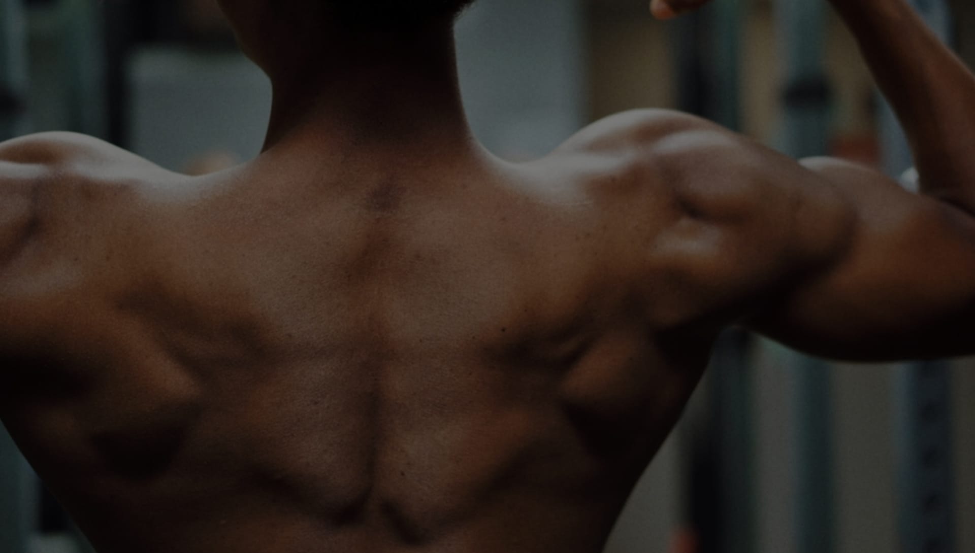 What should you know about your shoulders training?